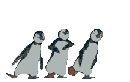 cherche un ami 3-pingou